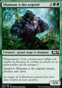 Shamane à dos argenté - 