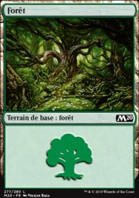 Forêt - 
