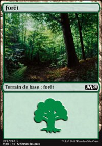 Forêt - 