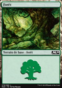 Forêt - 