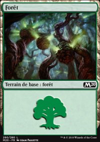 Forêt - 