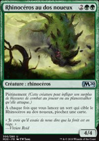 Rhinocéros au dos noueux - 