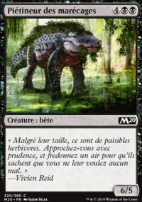Piétineur des marécages - 