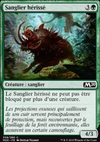 Sanglier hérissé - 