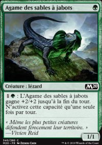 Agame des sables à jabots - 