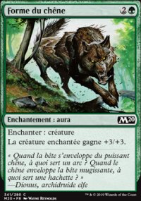 Forme du chêne - 
