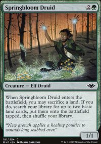 Springbloom Druid - 