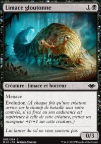 Limace gloutonne - 