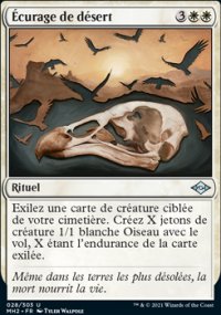 Écurage de désert - Modern Horizons II