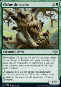 Chêne de course - Modern Horizons II