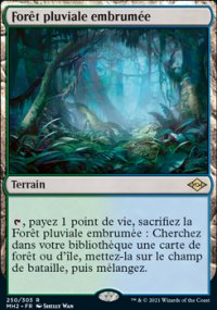 Forêt pluviale embrumée - Modern Horizons II