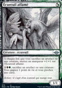 Écureuil affamé - Modern Horizons II