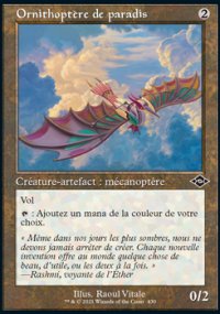 Ornithoptère de paradis - Modern Horizons II
