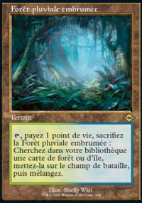 Forêt pluviale embrumée - Modern Horizons II