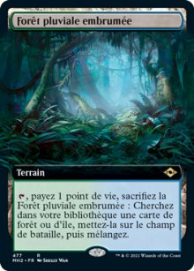 Forêt pluviale embrumée - Modern Horizons II