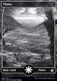 Plains - 