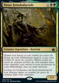 Vieux brindodactyle - 