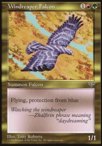 Faucon fauchevent - Mirage