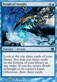 Pétales de perspicacité - 