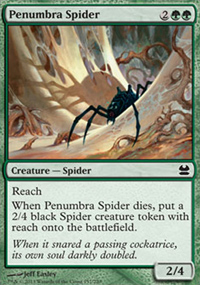 Araignée de la pénombre - 
