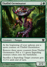 Thallidé germinateur - 
