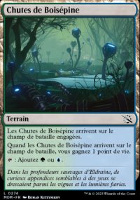 Chutes de Boispine - 
