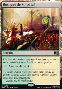 Bosquet de Solp�tal - Marvel Super Heroes Commander Decks
