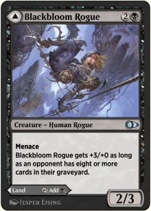 <br>Blackbloom Bog