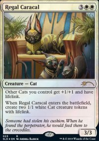 Caracal royal - Secret Lair