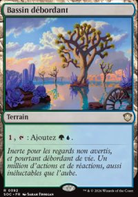 Bassin d�bordant - Secrets of Strixhaven Commander Decks