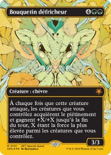 Bouquetin dfricheur - Special Guests