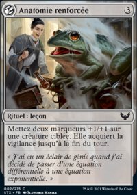 Anatomie renforcée - 