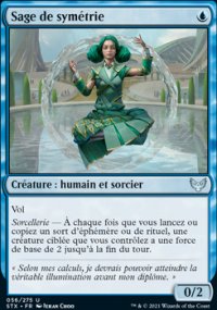 Sage de symétrie - 
