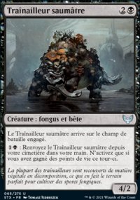 Traînailleur saumâtre - 