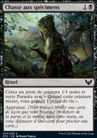 Chasse aux spécimens - 