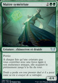 Maître symétriste - 
