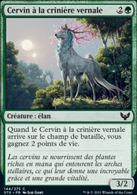 Cervin à la crinière vernale - 