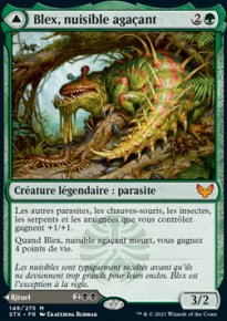 Blex, nuisible agaçant<br>Recherche de Blex