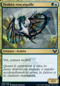 Drakôn ronçaiguille - 