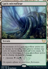Lacis nécrofleur - 
