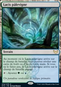 Lacis pâlevigne - 