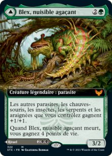 Blex, nuisible agaçant<br>Recherche de Blex