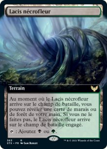 Lacis nécrofleur - 