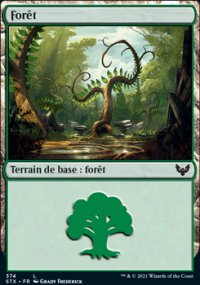 Forêt - 
