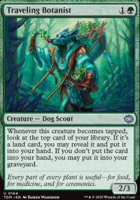 Traveling Botanist - Tarkir: Dragonstorm