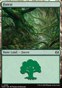Forest - Tarkir: Dragonstorm