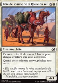 Bte de somme de la Route du sel - Tarkir: Dragonstorm
