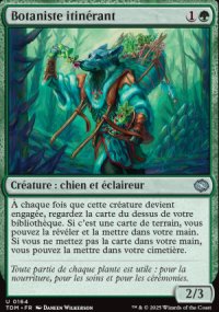 Botaniste itinrant - Tarkir: Dragonstorm