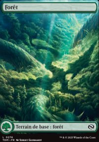 Fort - Tarkir: Dragonstorm
