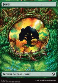 Fort - Tarkir: Dragonstorm